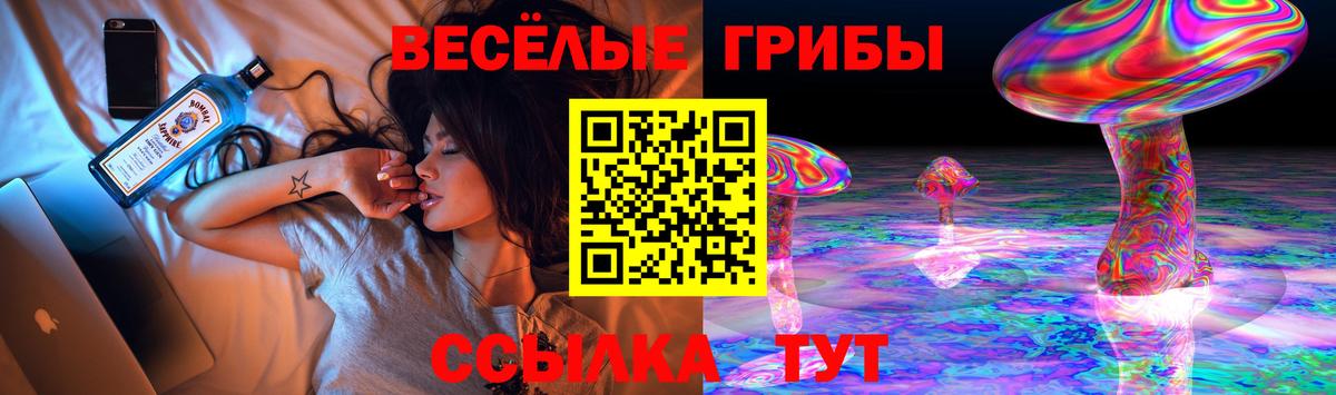 Лениногорск  Галлюциногенные грибы Magic Shrooms  Вход с VPN 